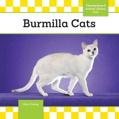 Burmilla Cats book