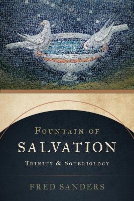 Fountain of Salvation: Trinity and Soteriology book