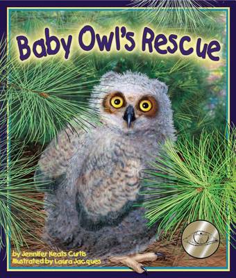 Baby Owl's Rescue book