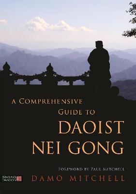 Comprehensive Guide to Daoist Nei Gong book