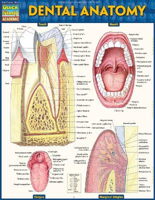 Dental Anatomy book