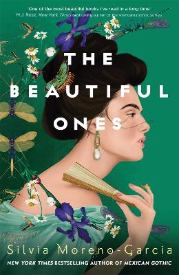 The Beautiful Ones book