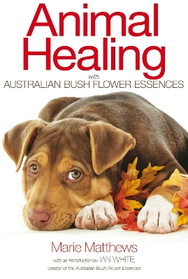 Animal Healing with Australian Bush Flower Essences book