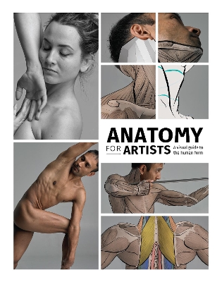 Anatomy for Artists: A visual guide to the human form book