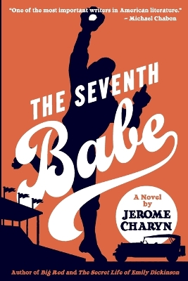 The Seventh Babe: A Novel by Jerome Charyn book