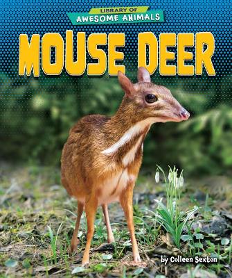 Mouse Deer book