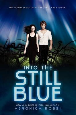 Into the Still Blue book