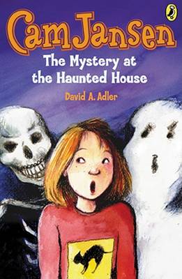CAM Jansen: The Mystery at the Haunted House #13 book