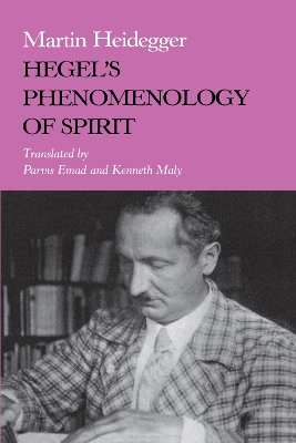 Hegel's Phenomenology of Spirit book