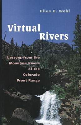 Virtual Rivers book