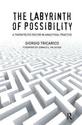 The The Labyrinth of Possibility: A Therapeutic Factor in Analytical Practice by Giorgio Tricarico