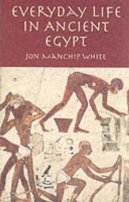 Everyday Life in Ancient Egypt book