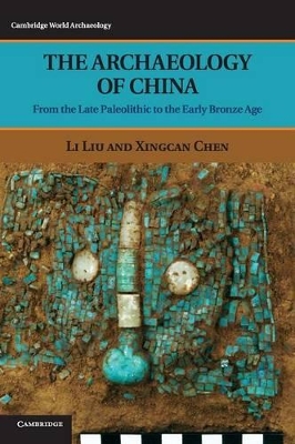 The Archaeology of China by Li Liu