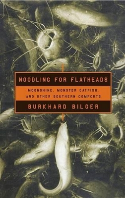 Noodling for Flatheads: Moonshine, Monster Catfish, and Other Southern Comforts by Burkhard Bilger