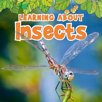 Learning About Insects by Catherine Veitch