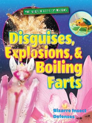 Disguises, Explosions, and Boiling Farts by Ruth Owen