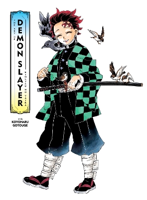 The Art of Demon Slayer: Kimetsu no Yaiba book