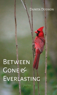 Between Gone and Everlasting: Poems by Danita Dodson