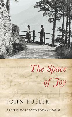 Space of Joy book