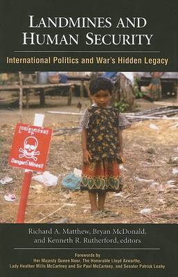 Landmines and Human Security book