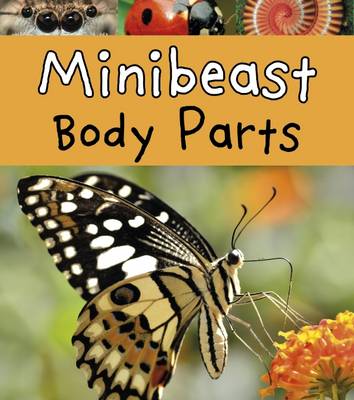 Minibeast Body Parts by Clare Lewis