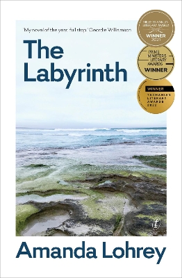 The Labyrinth book