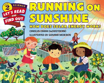 Running On Sunshine book