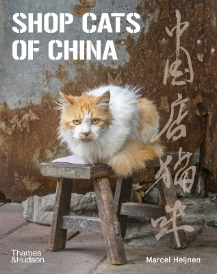 Shop Cats of China book