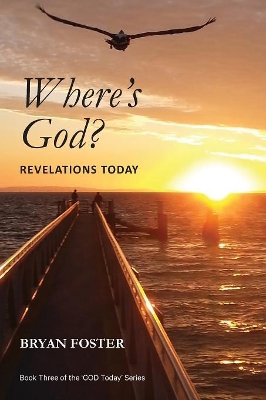 Where's God?: Revelations Today book