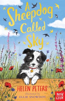 Sheepdog Called Sky book