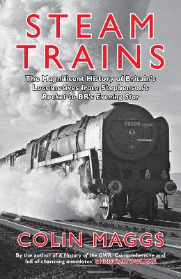 Steam Trains: The Magnificent History of Britain's Locomotives from Stephenson's Rocket to BR's Evening Star book