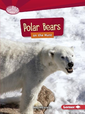 Polar Bears on the Hunt by Meg Marquardt