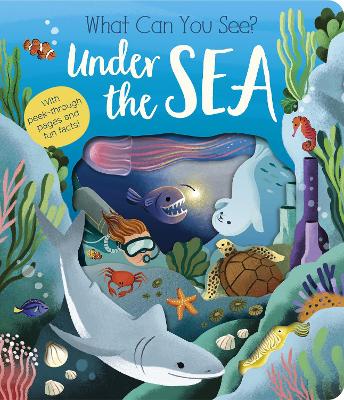 What Can You See? Under the Sea book