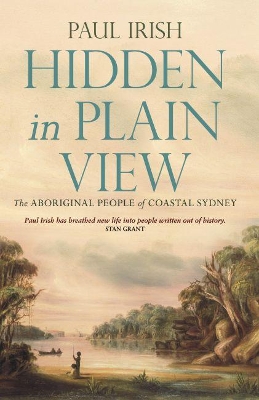 Hidden in Plain View book