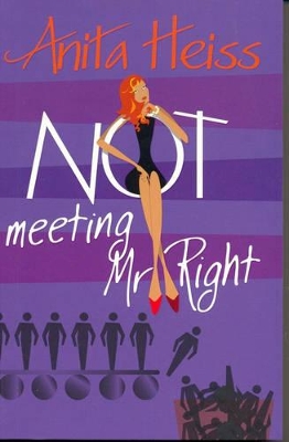Not Meeting Mr Right book