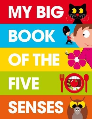 My Big Book of the Five Senses book