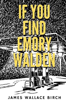If You Find Emory Walden book