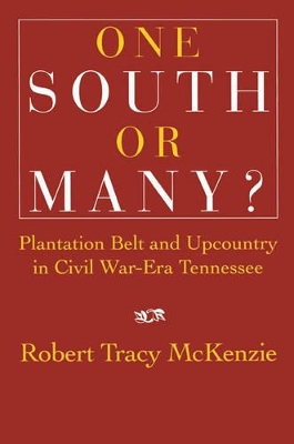 One South or Many? book