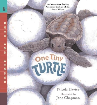 One Tiny Turtle book