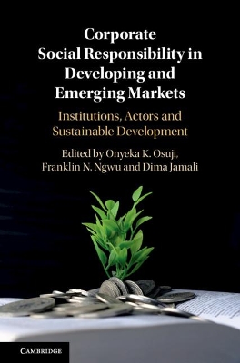 Corporate Social Responsibility in Developing and Emerging Markets: Institutions, Actors and Sustainable Development book