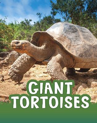 Giant Tortoises by Jaclyn Jaycox