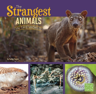 Strangest Animals in the World book