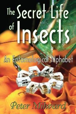 Secret Life of Insects book