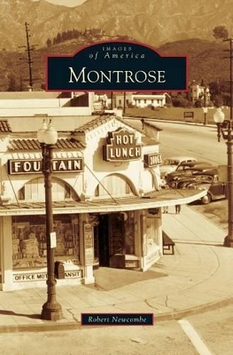 Montrose by Robert Newcombe