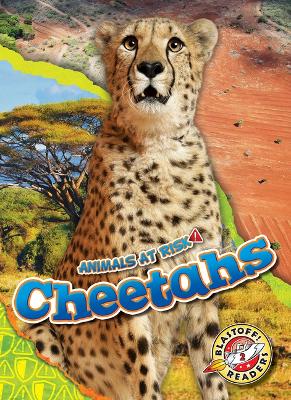 Cheetahs book