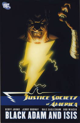 Justice Society of America book