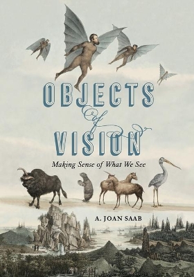 Objects of Vision: Making Sense of What We See book