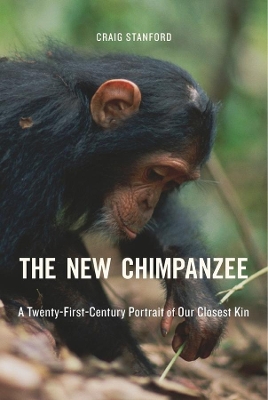 New Chimpanzee by Craig Stanford