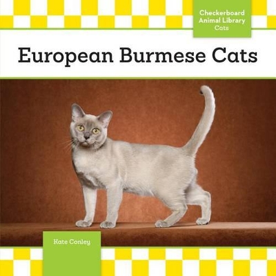 European Burmese Cats book