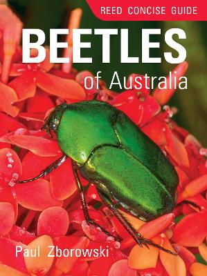 Reed Concise Guide: Beetles of Australia: Pocket sized covering all key beetle families and subfamilies book